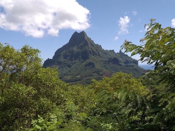 Hawaii Tahiti Cruise and Scuba Trip